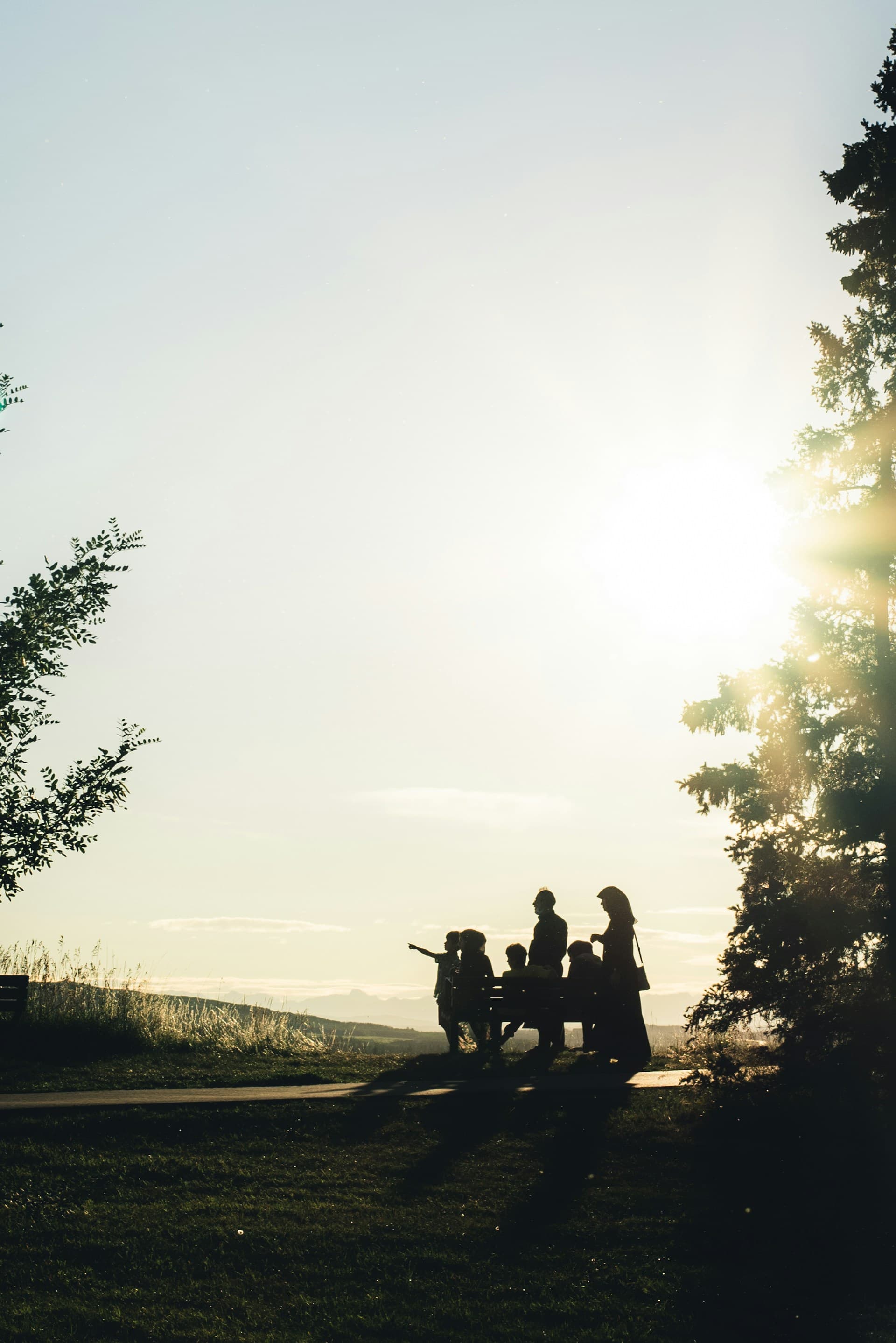 A family at a bench in a park silhouetted by the afternoon sun